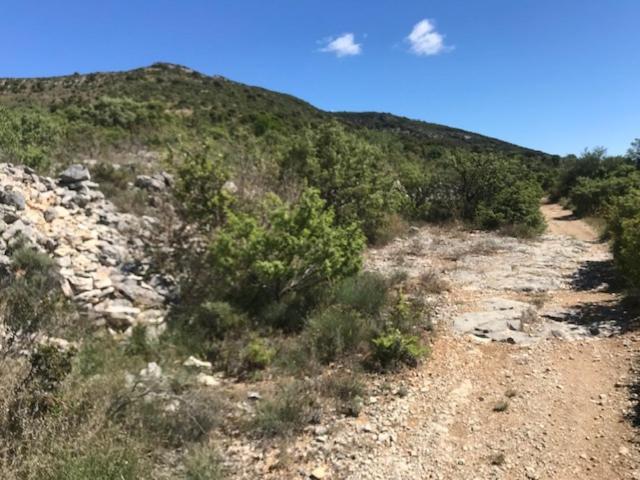 Saint-Remeze Chambre En Ardeche Du Sud المظهر الخارجي الصورة