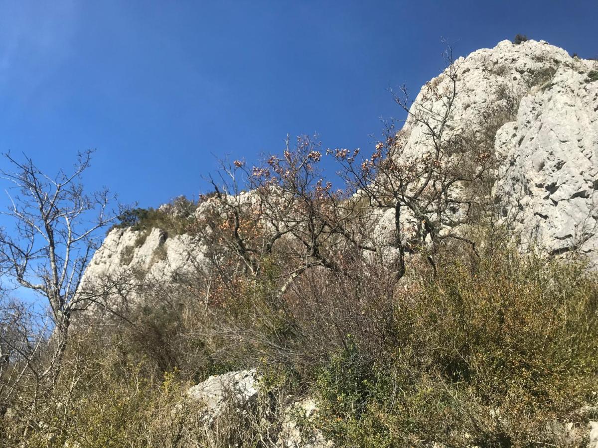 Saint-Remeze Chambre En Ardeche Du Sud المظهر الخارجي الصورة