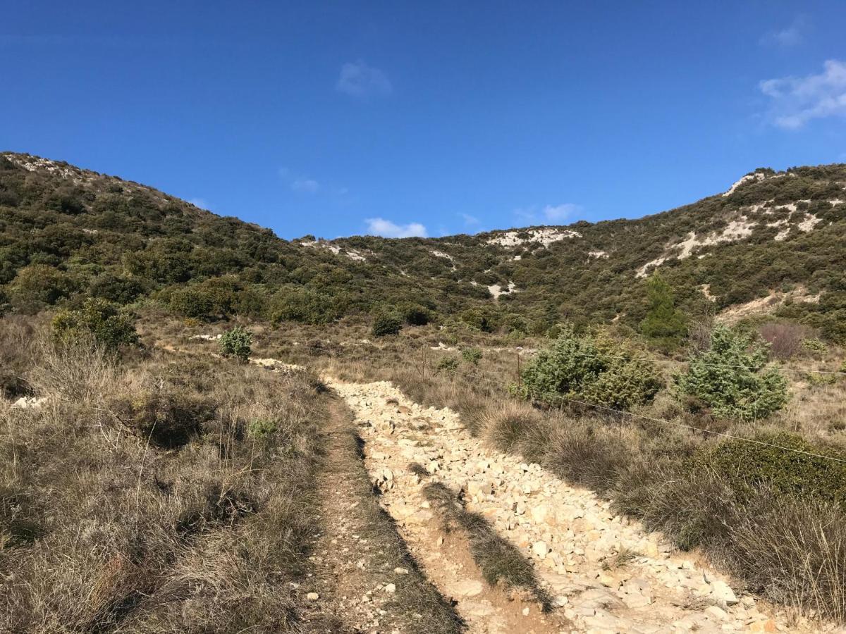 Saint-Remeze Chambre En Ardeche Du Sud المظهر الخارجي الصورة